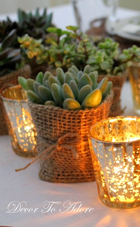 Succulent themed party