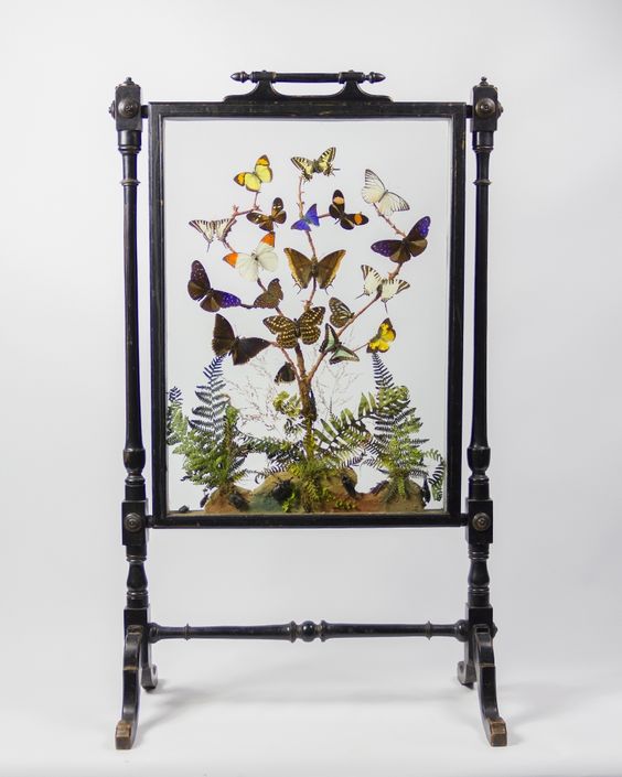 Taxidermy Butterfly Fire Screen from Ayre & Co. 
