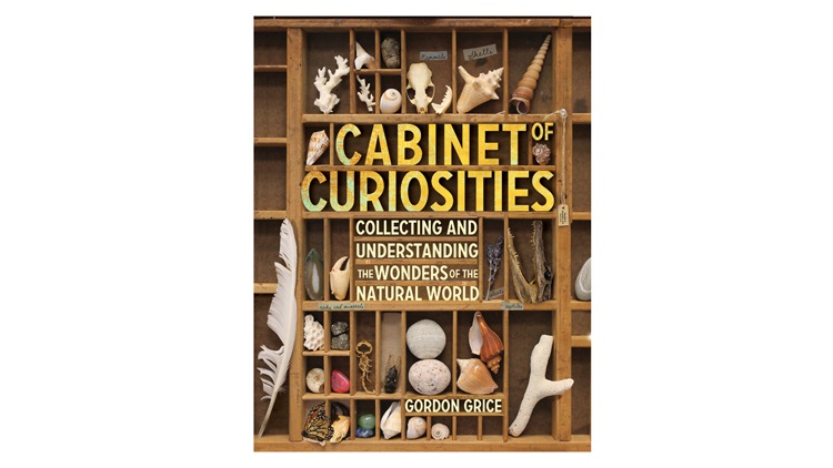 A Cabinet of Curiosities book