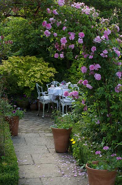 A Love Of English Gardens