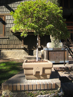 The Gamble House