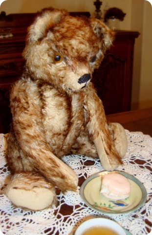 teddy bear tea