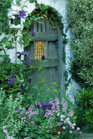 private garden. Sussex. Blue garden gate. Clematis 'The President'