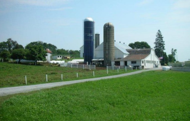 A Buggy Ride Through the Amish Countryside