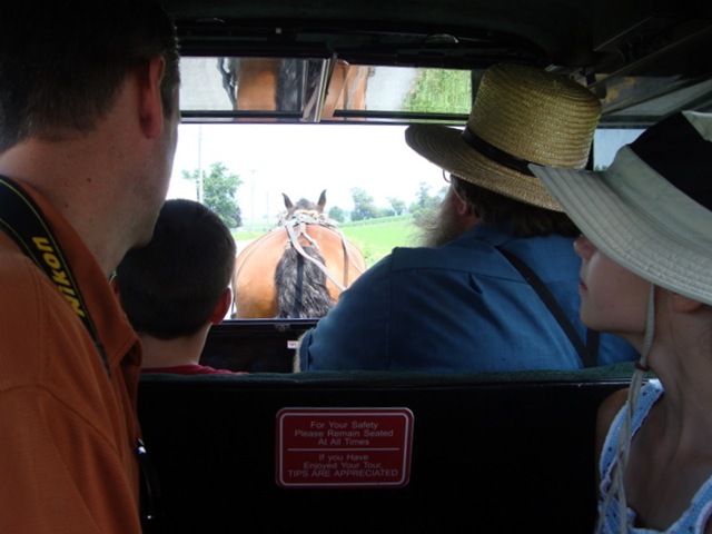 A Buggy Ride Through the Amish Countryside