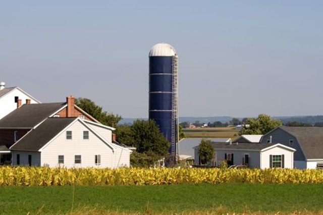 A Buggy Ride Through the Amish Countryside