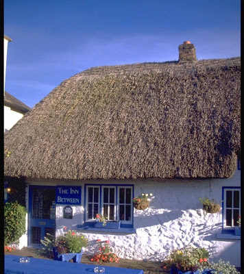 Thatched Roof Cottage Inn