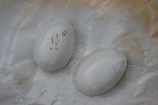 painted eggs