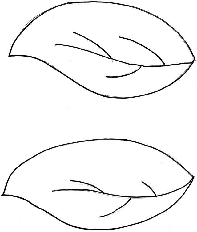 leaf template