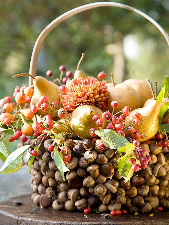 Acorn Basket Display