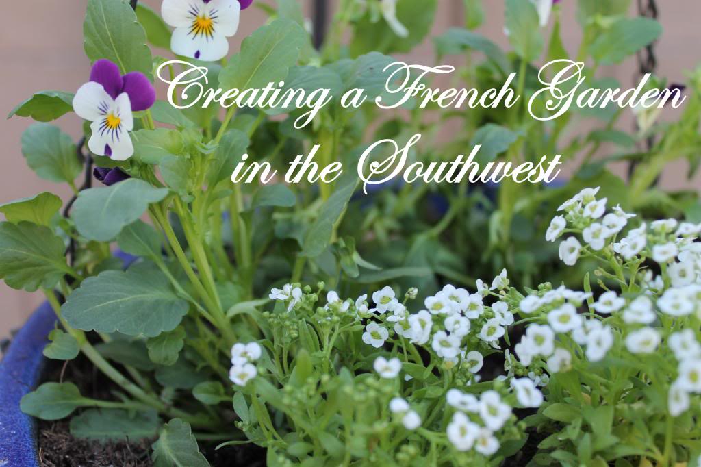 Creating A French Garden In the Southwest