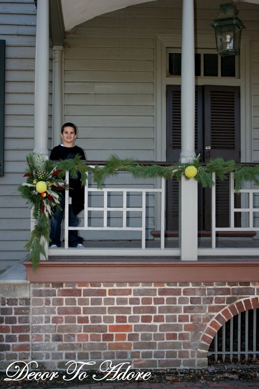 Sweet Guy at Colonial Williamsburg