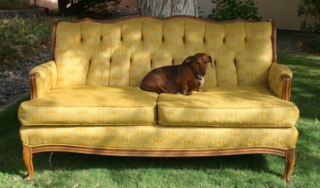 A Sweet Settee That Cuts The Mustard