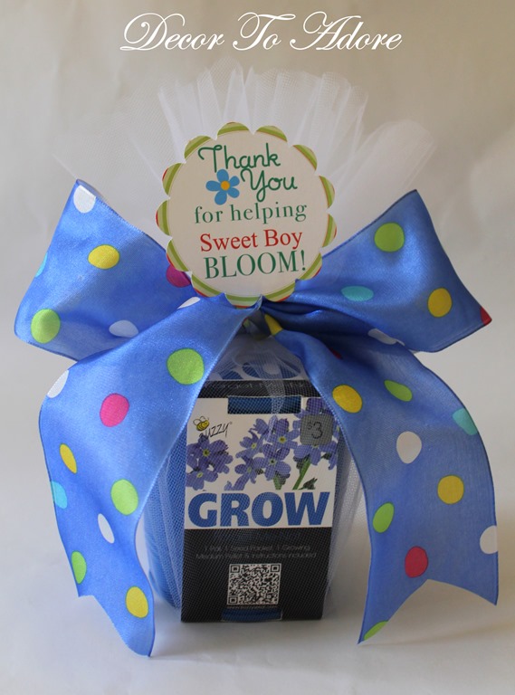 seedling kit 