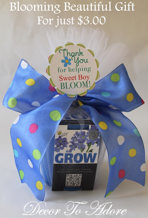 Blooming Beautiful Gift for Just $3.00