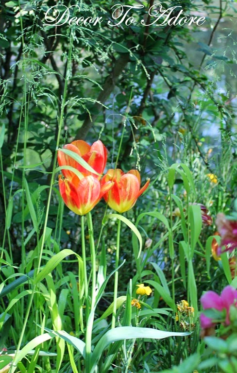 Tulips in Monet's Garden
