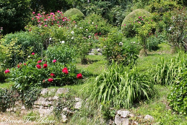 Charming garden