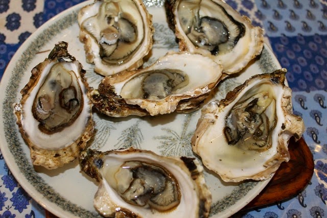 raw oyster 