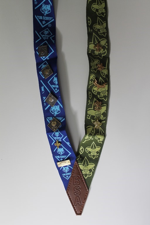 Scout pin ribbon