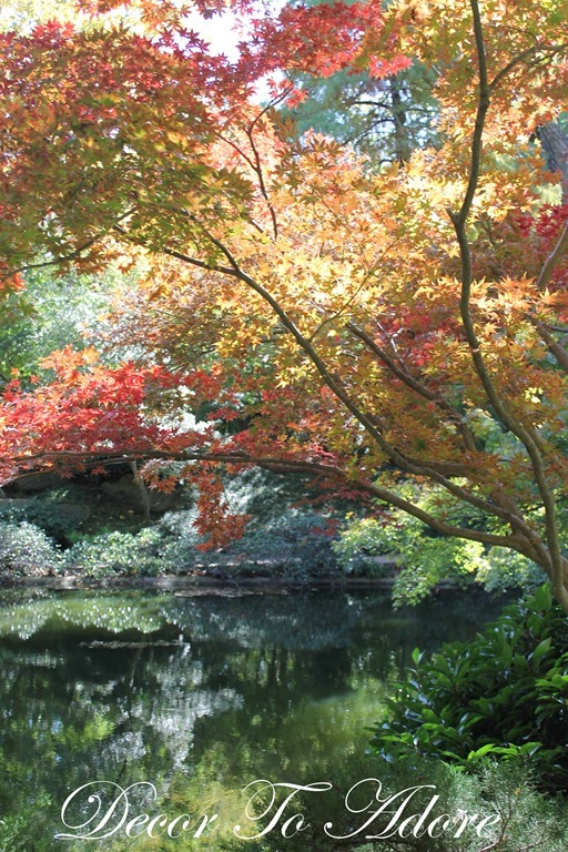 Autumnal Splendor at the Japanese Garden