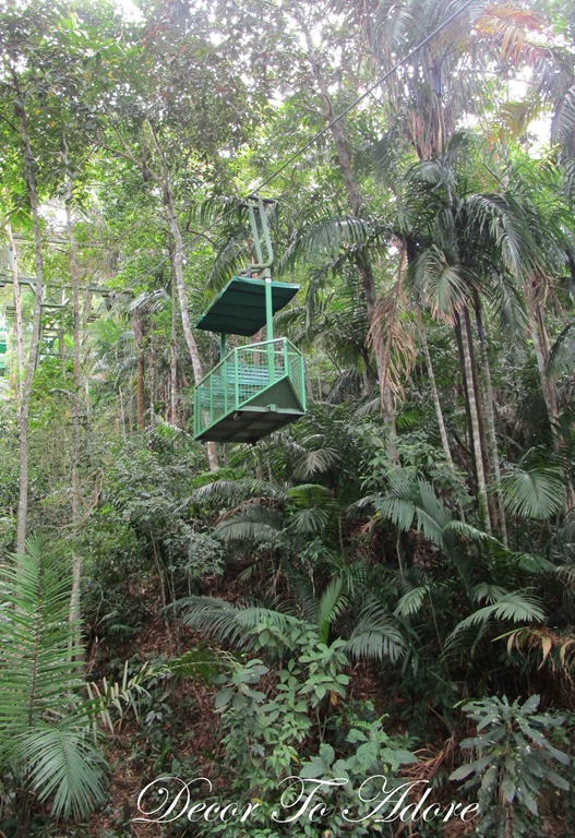 Gamboa Rain Forest