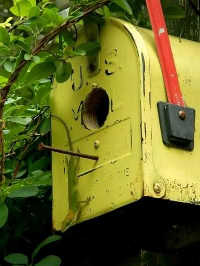 Mailbox adorns the top of the arbor on fleamarketgardening.