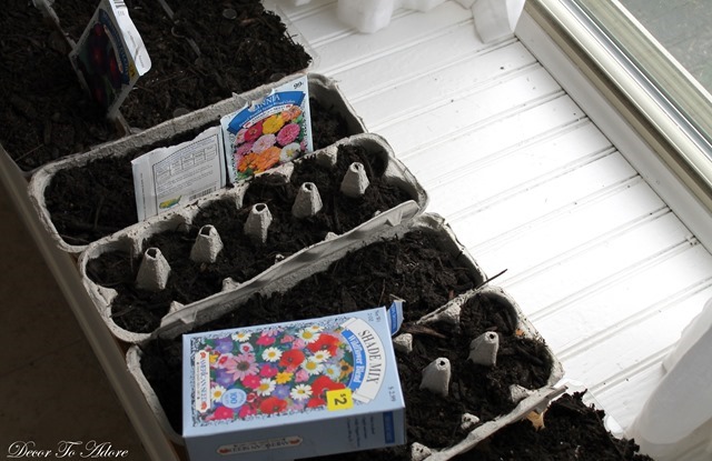 Frugal gardening with seeds