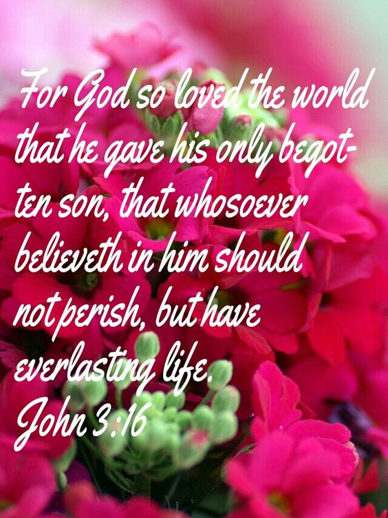 For God so loved the world that he gave.: 