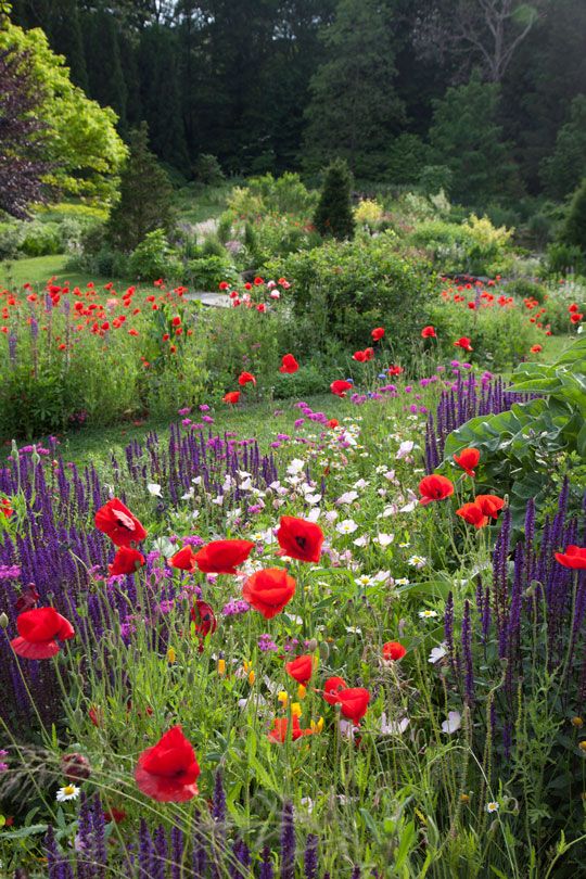 The best garden idea: 