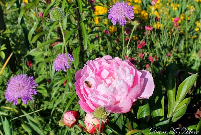 Monet’s Jardin Clos Normand