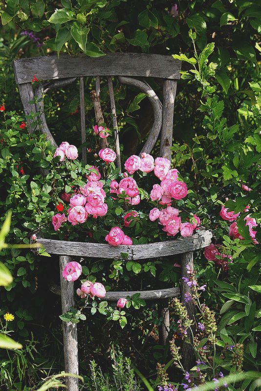 creating a secret garden - decor to adore