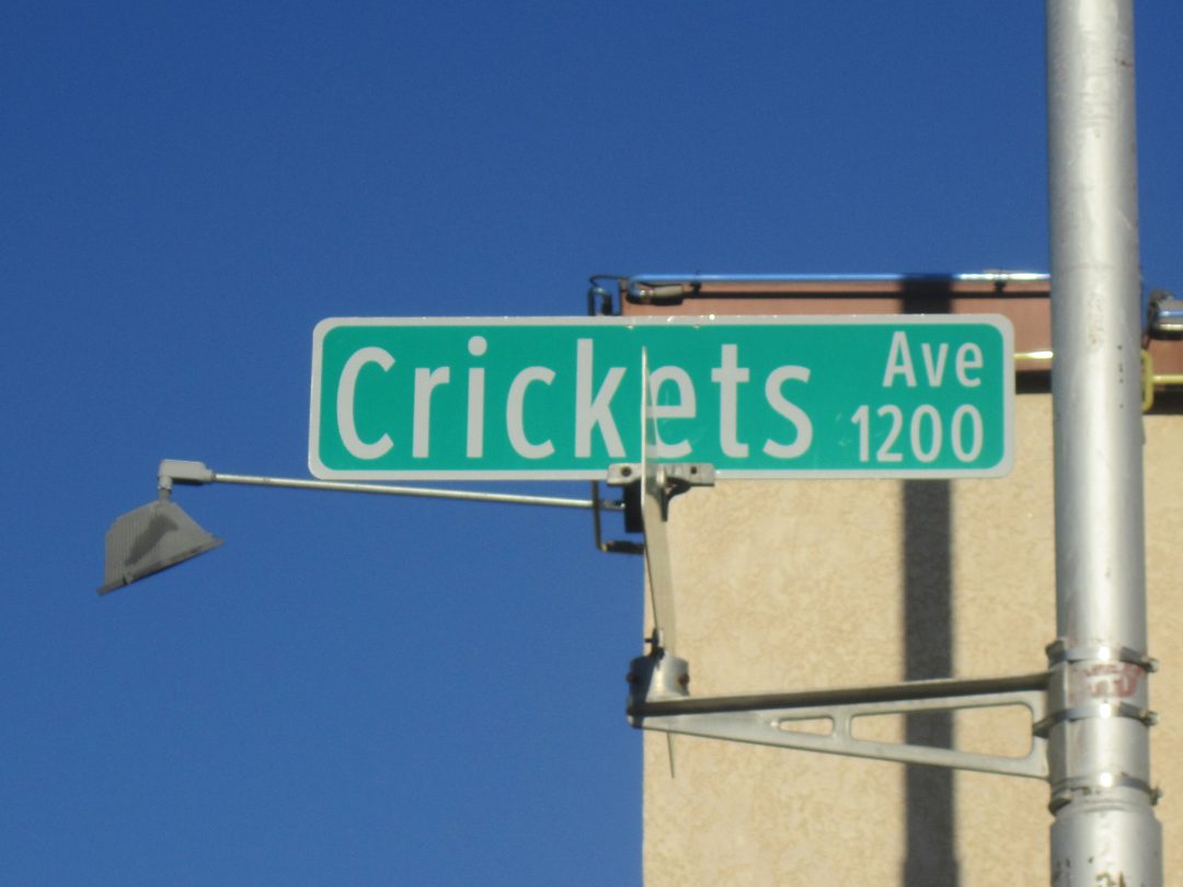 Crickets Avenue