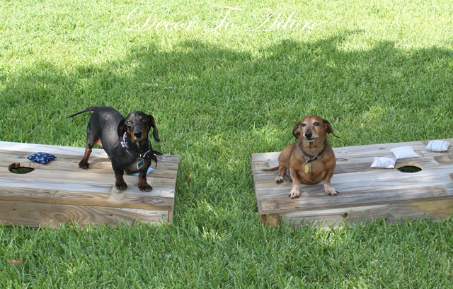 cornhole