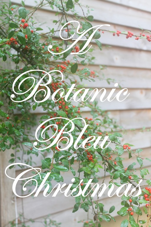 A Botanic Bleu Christmas