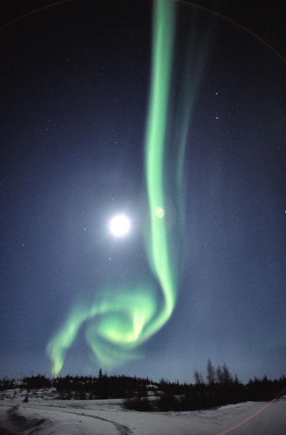 Aurora and full moon in Yellowknife, NWT. Credit: Robert Postma.: 