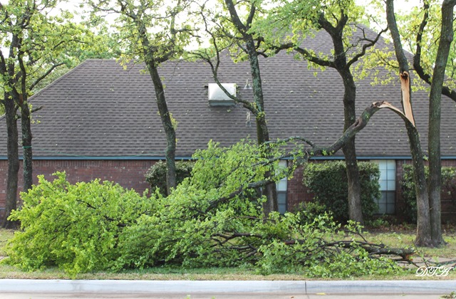 tornado debris