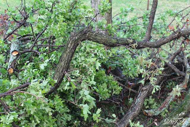 tornado debris