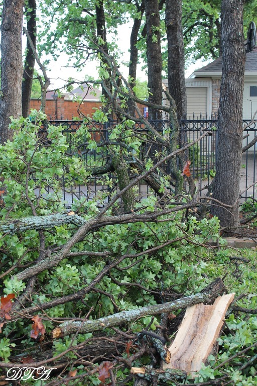 tornado debris