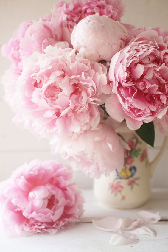 Peonies by Emily Quinton