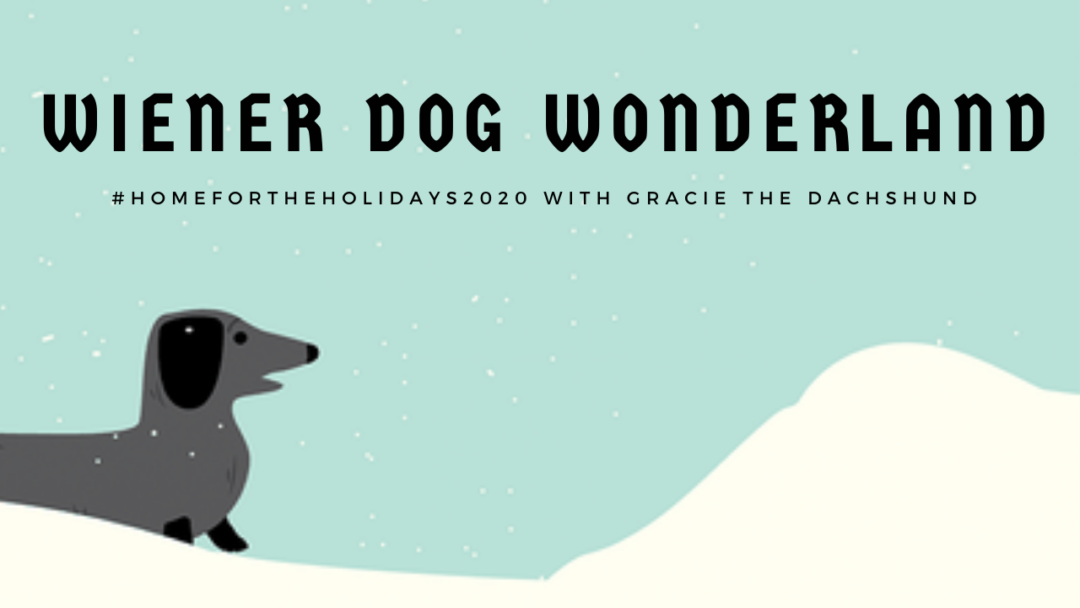 Wiener Dog Wonderland