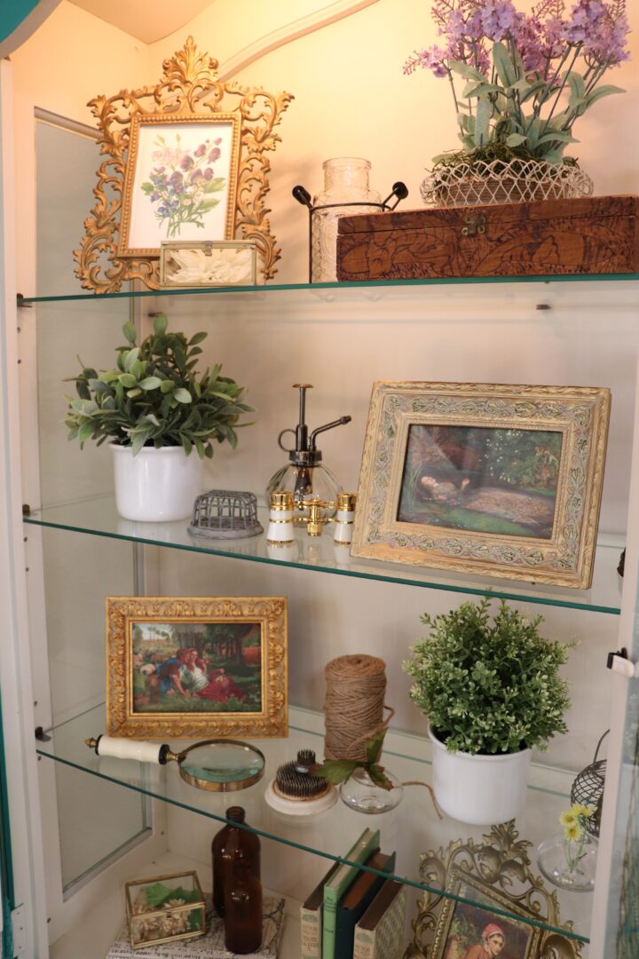 Botany display cabinet