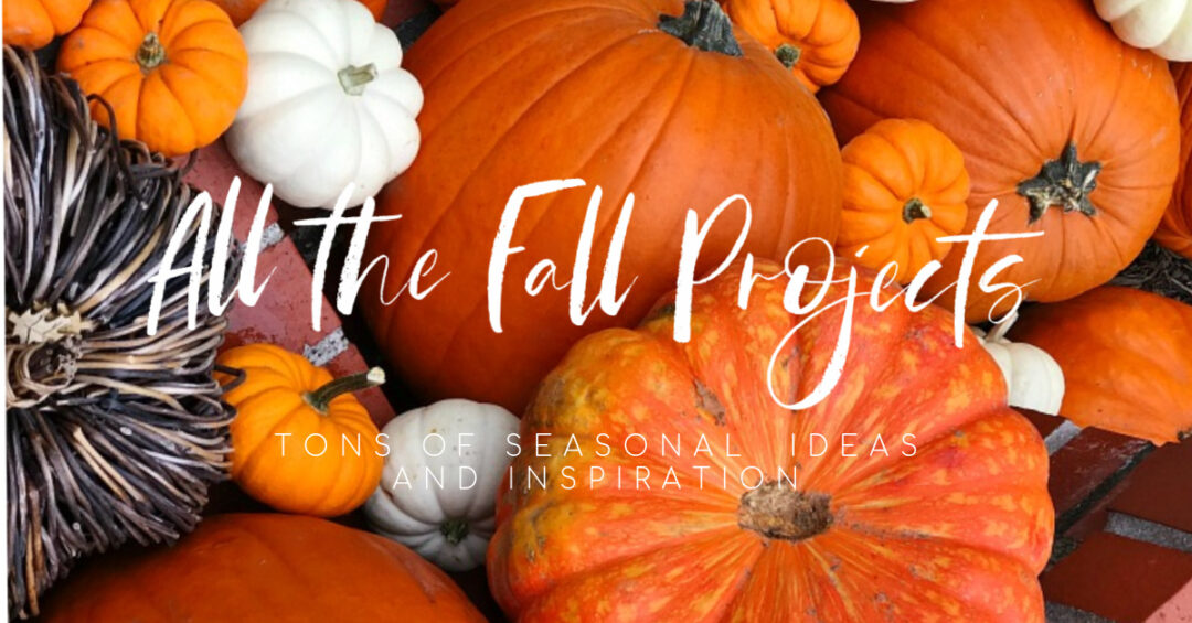 ALL THE FALL PROJECTS