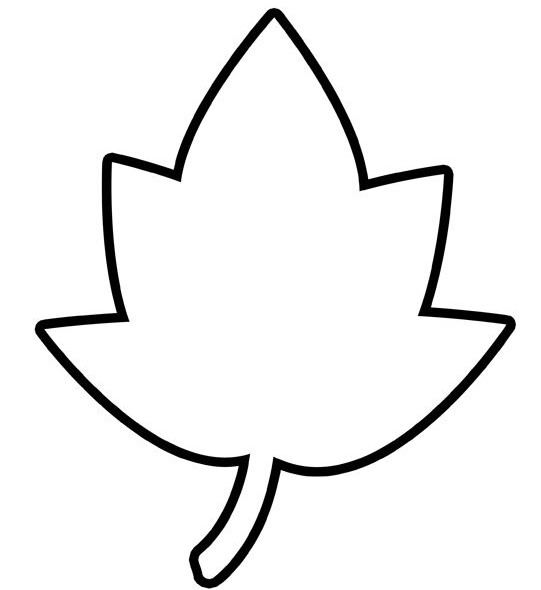 leaf template