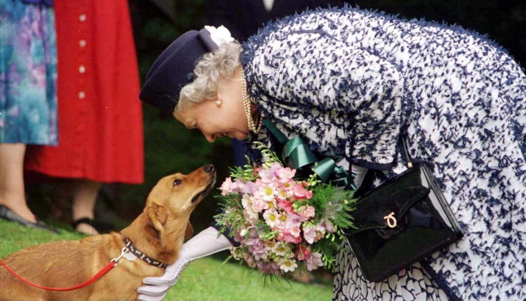 Queen with dog