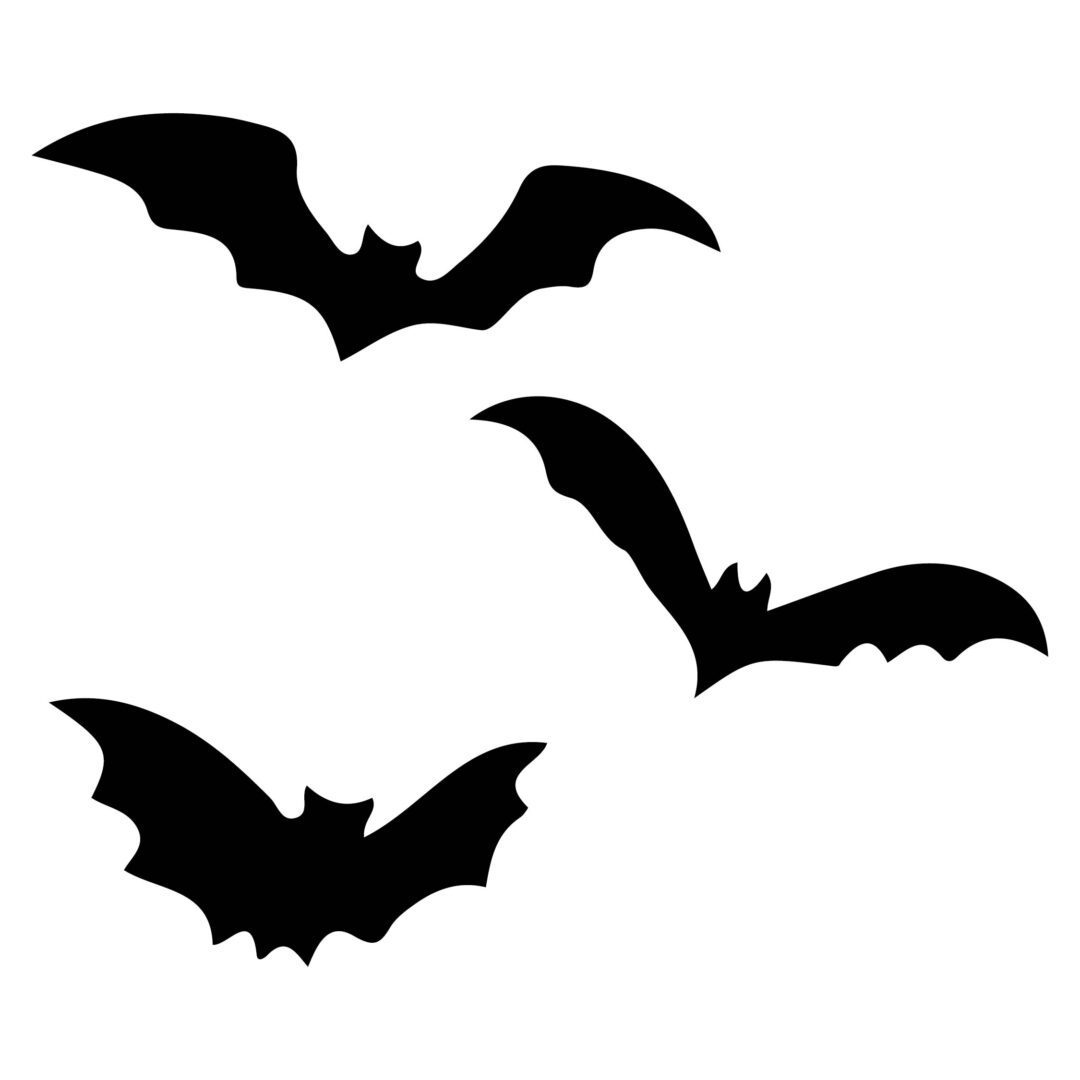 Bat printable