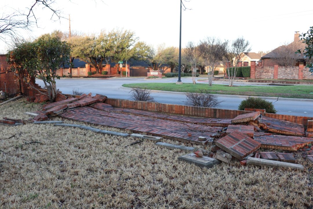 Garden wall shambles