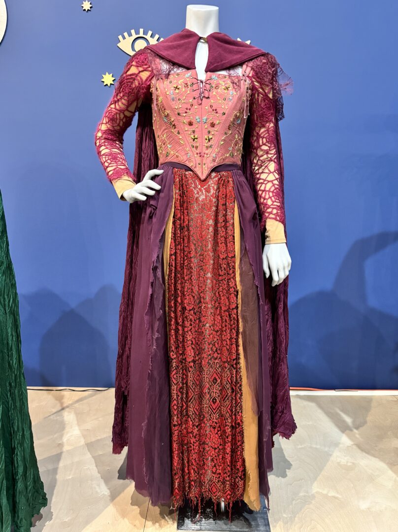 The Sanderson Sisters costumes