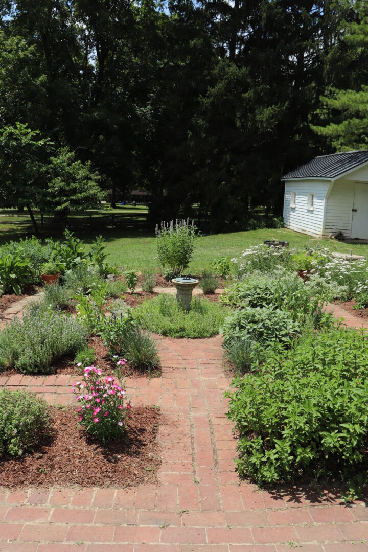 The Jane Austen Festival 2025