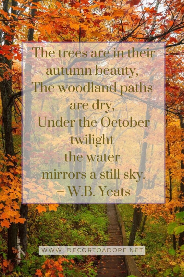 Friday Favorites Early October