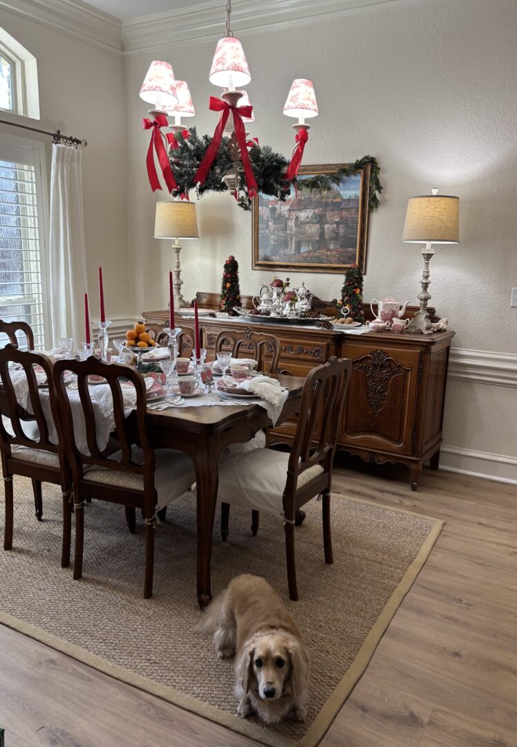 Pony the dachshund at Christmas